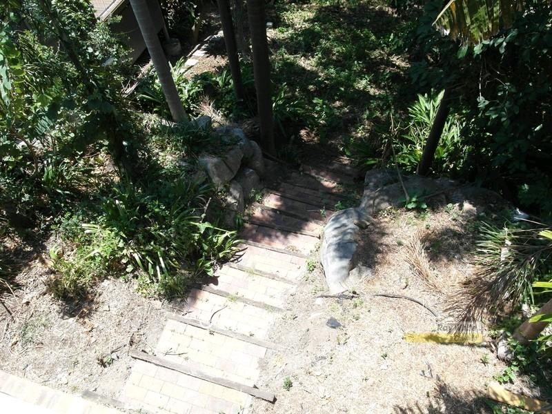 19 Howie Street, Clayfield QLD 4011