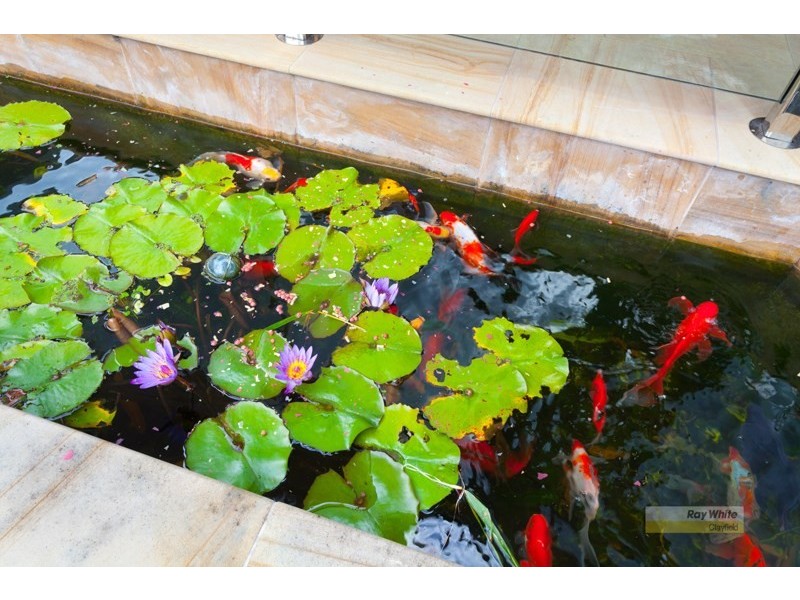 7 London Road, Clayfield QLD 4011