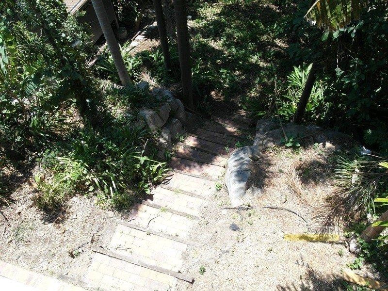 19 Howie Street, Clayfield QLD 4011