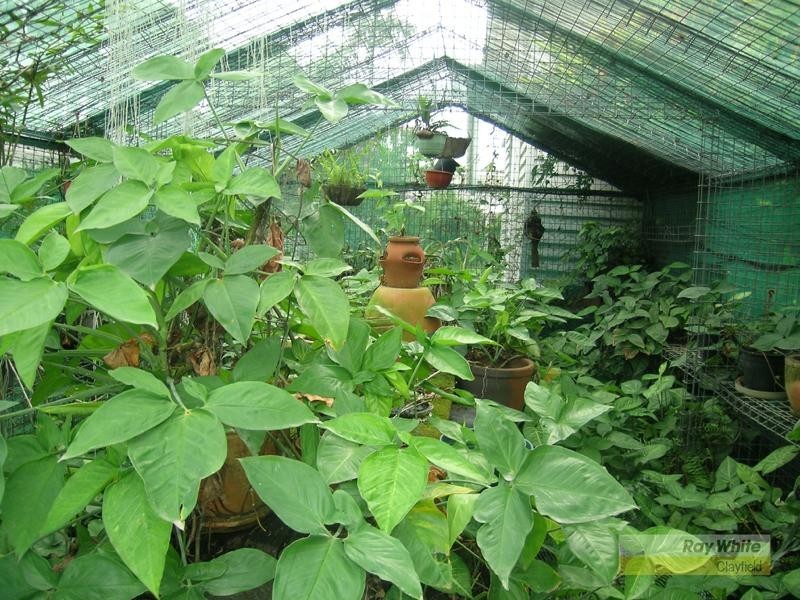 18 Norman Street, Ascot QLD 4007