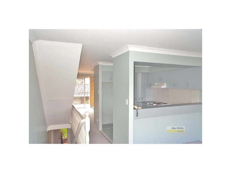 3/26 Vine Street, Ascot QLD 4007