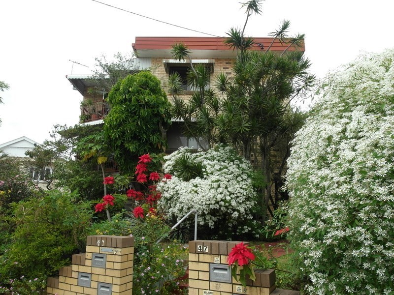 2/47 Collins Street, Clayfield QLD 4011