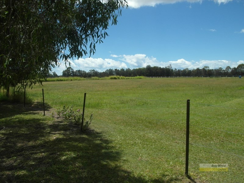 40 Ure Street, Hendra QLD 4011