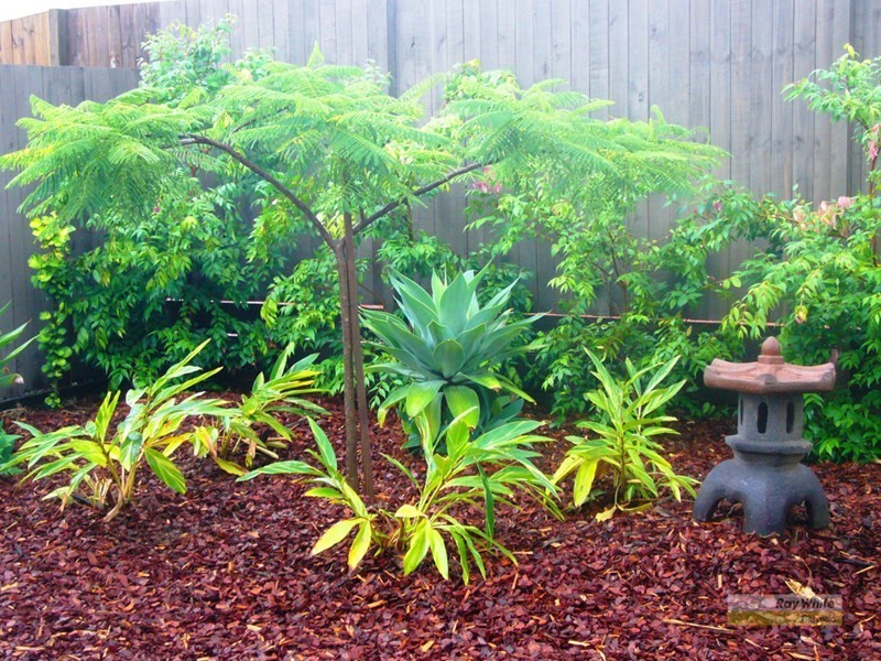 24 Billara Place, Banyo QLD 4014