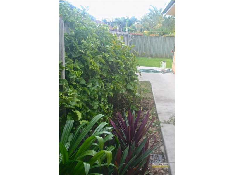 33 Nicole Street, Bracken Ridge QLD 4017