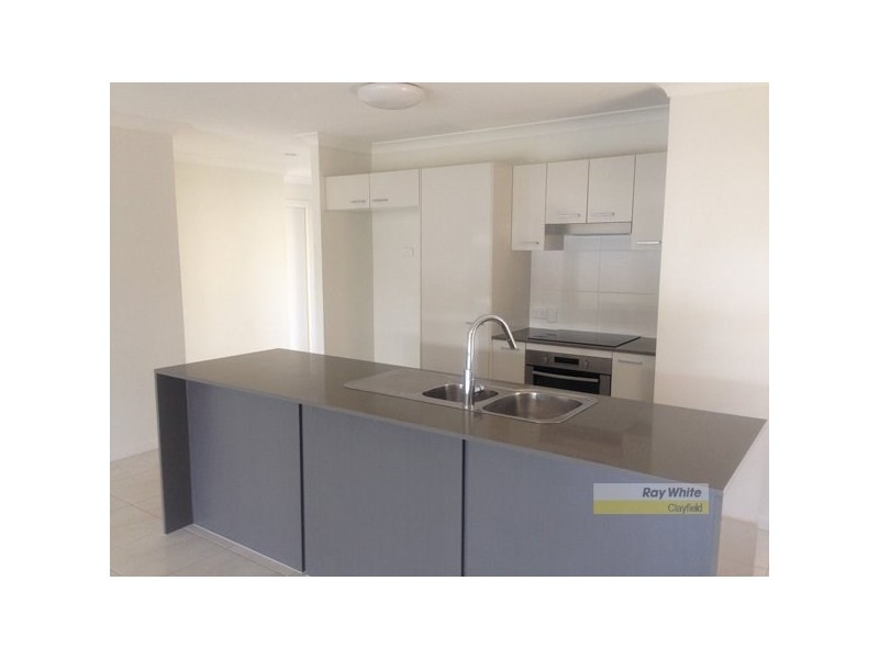 21 Griffin Place, Nudgee QLD 4014