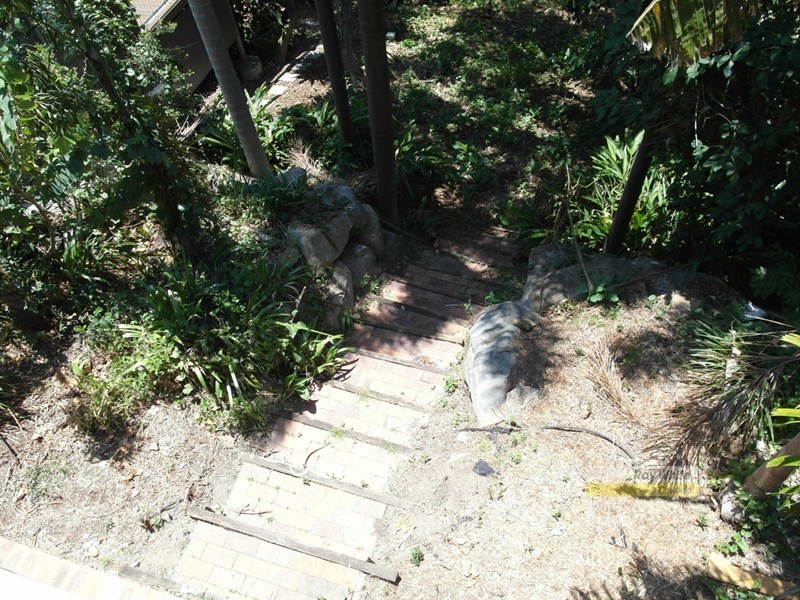 19 Howie Street, Clayfield QLD 4011