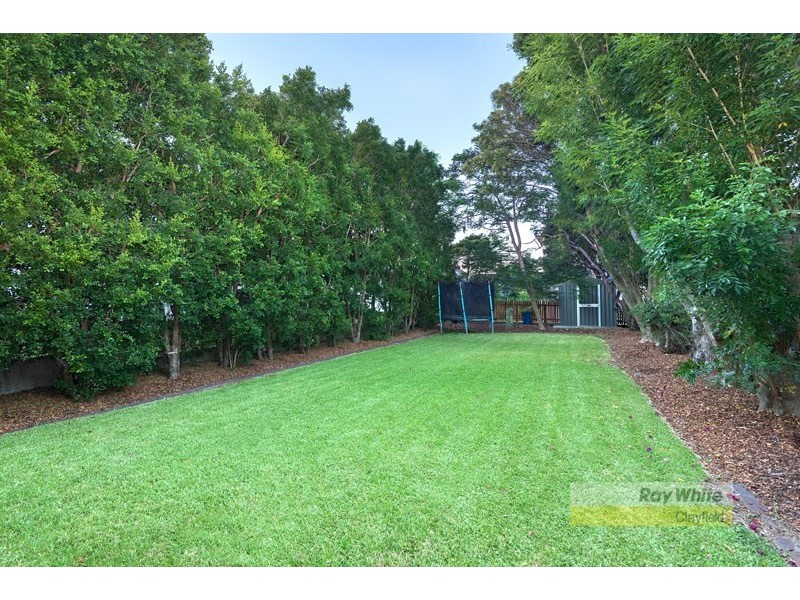 42 Eliza Street, Clayfield QLD 4011