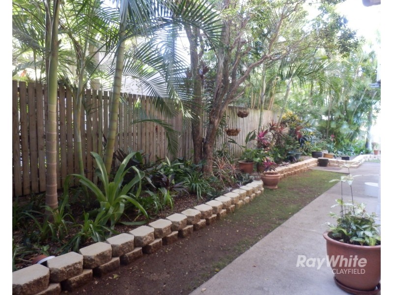 1/17 Stevenson Street, Ascot QLD 4007