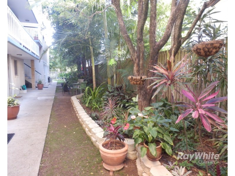 1/17 Stevenson Street, Ascot QLD 4007