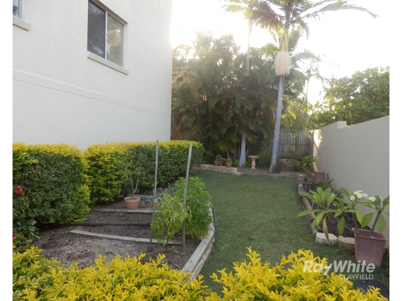 1/17 Stevenson Street, Ascot QLD 4007