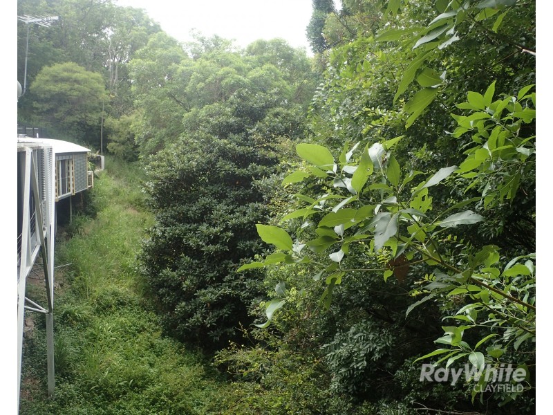 12a Morgan Street, Ascot QLD 4007