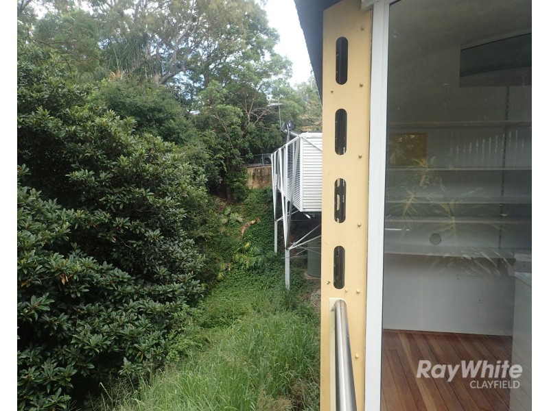 12a Morgan Street, Ascot QLD 4007