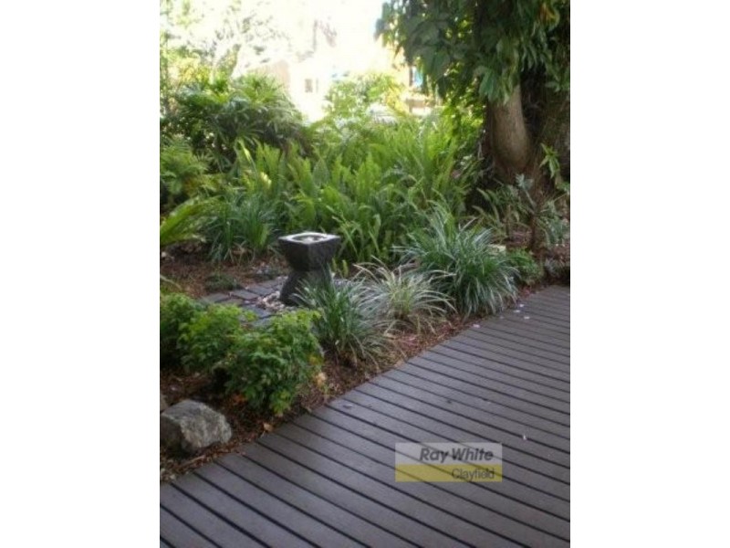 78 Elliott Street, Clayfield QLD 4011