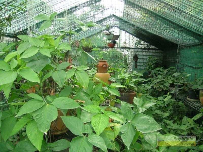 18 Norman Street, Ascot QLD 4007