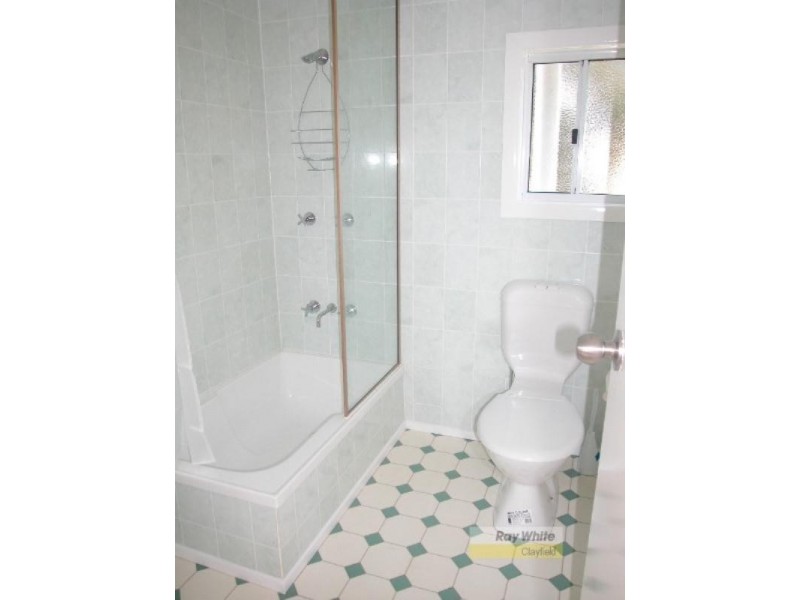 17 York Street, Hamilton QLD 4007