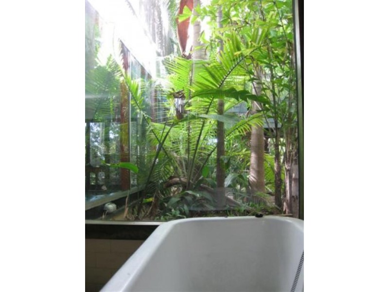 202 Arthur Street, New Farm QLD 4005