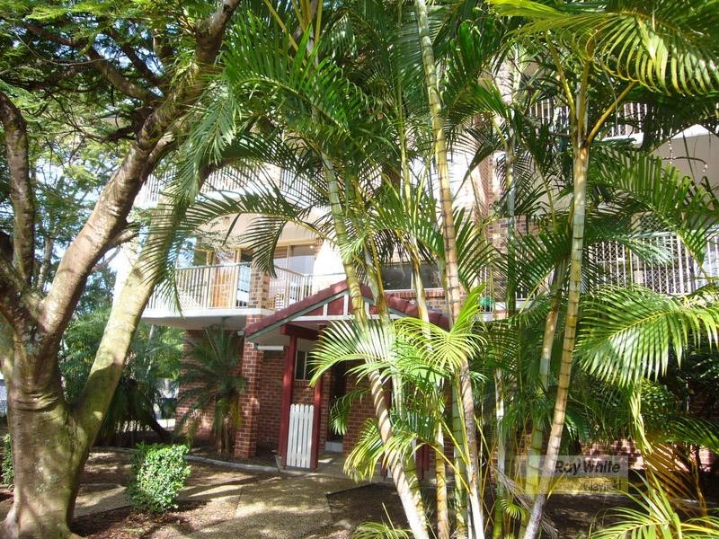 6/33 Wongara Street, Clayfield QLD 4011