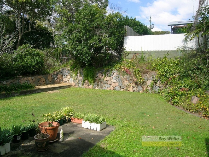 Ascot QLD 4007