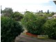 Ascot QLD 4007
