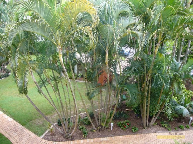 9/15 Childs Street, Clayfield QLD 4011