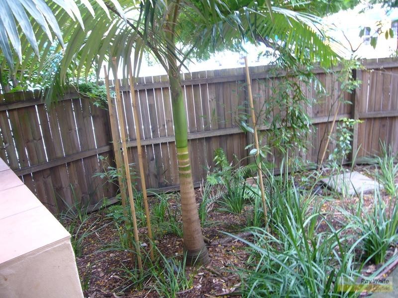 1/6 Christian Street, Clayfield QLD 4011