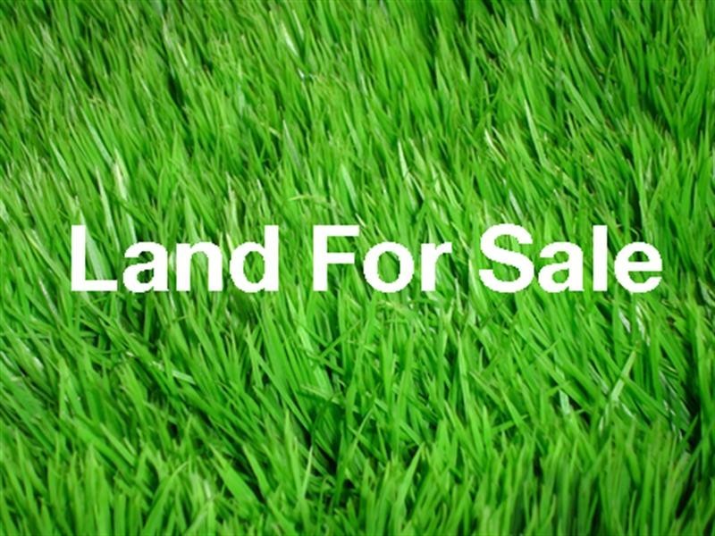 39 Sydney Street, Kedron QLD 4031