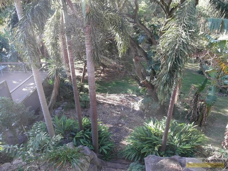 19 Howie Street, Clayfield QLD 4011