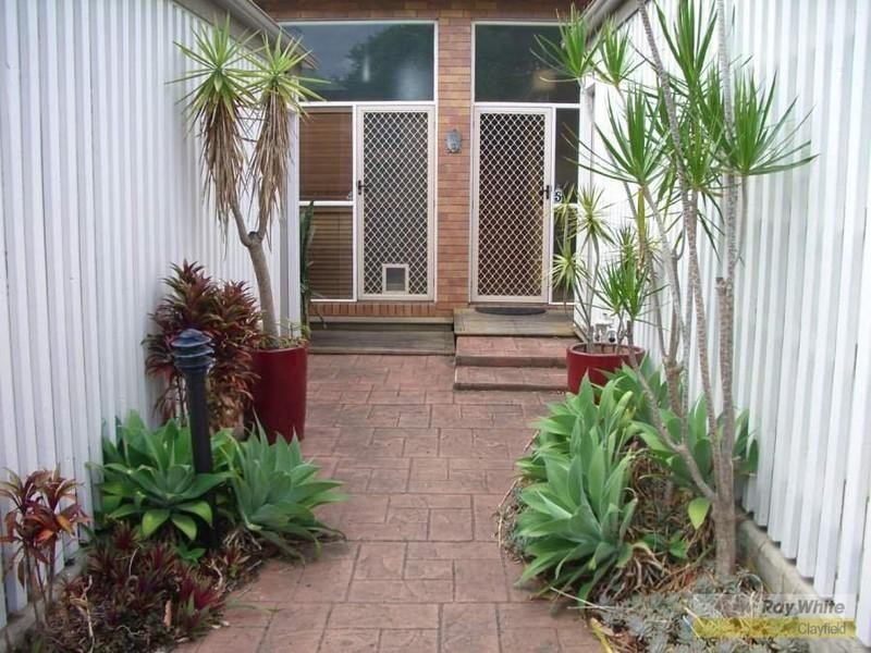 5/1 Park Avenue, Clayfield QLD 4011