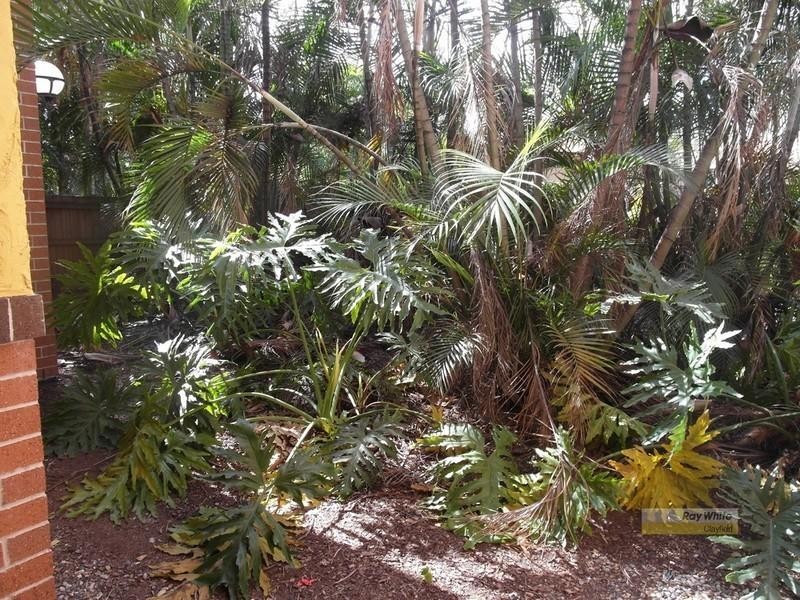 A3/151 Beatrice Terrace, Ascot QLD 4007