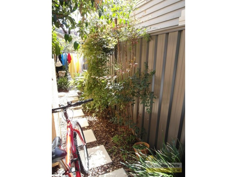 7 Clyde Street, Petrie Terrace QLD 4000