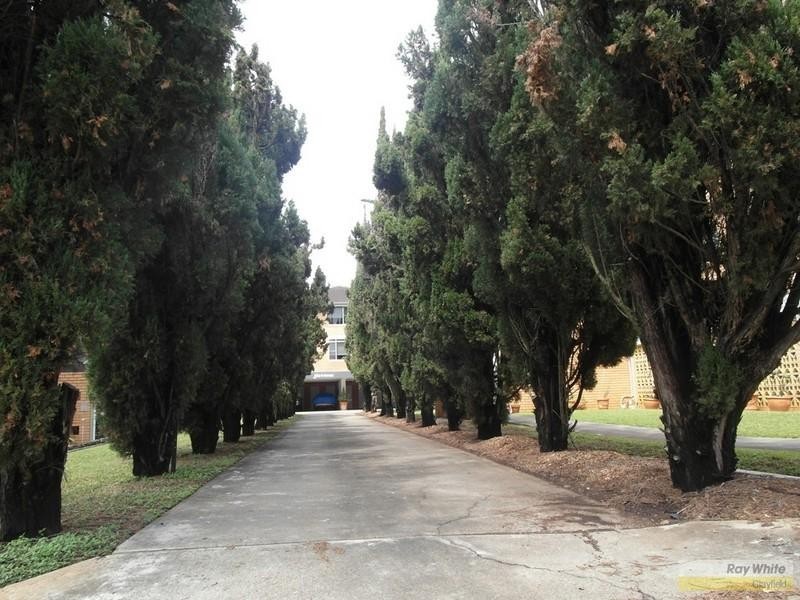 4/107 Windermere Road, Hamilton QLD 4007