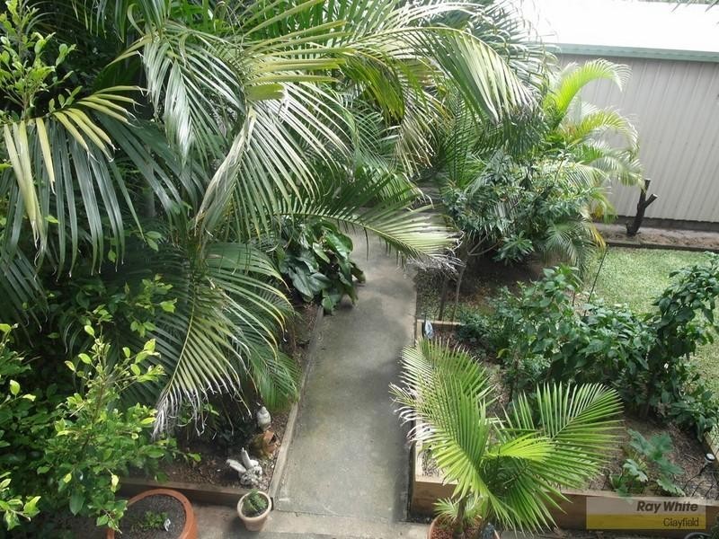 14 Webster Avenue, Hendra QLD 4011