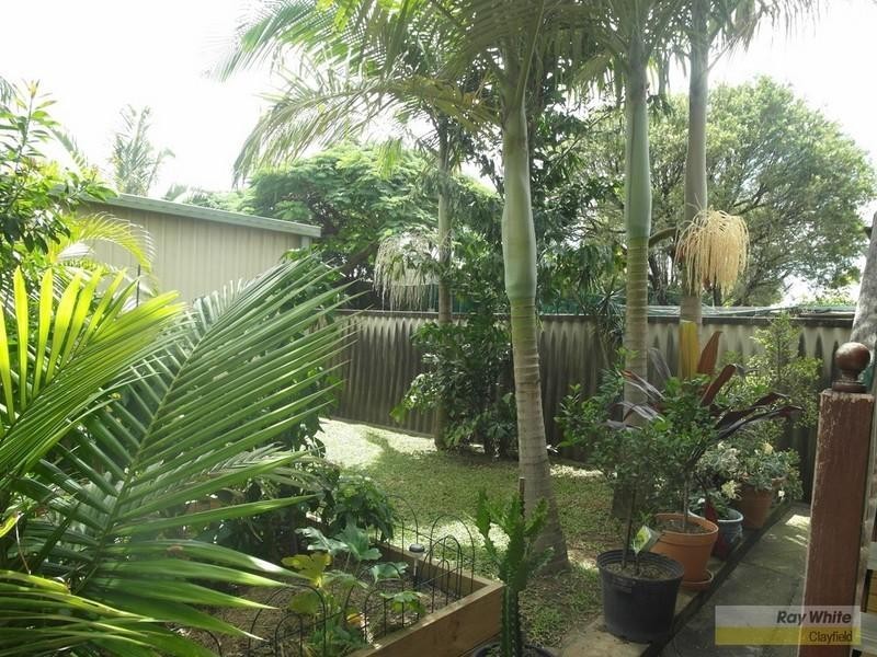 14 Webster Avenue, Hendra QLD 4011