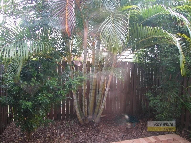 2/98 Dobson Street, Ascot QLD 4007