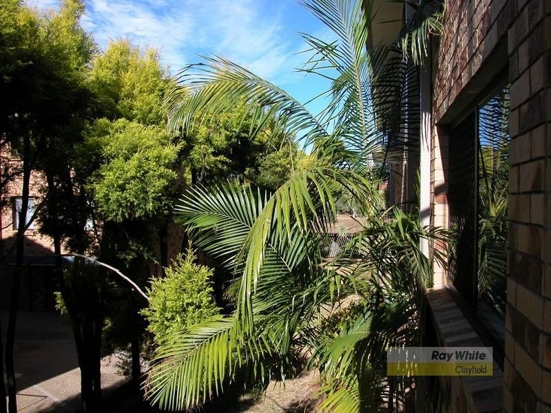 4/42 Swan Street, Gordon Park QLD 4031