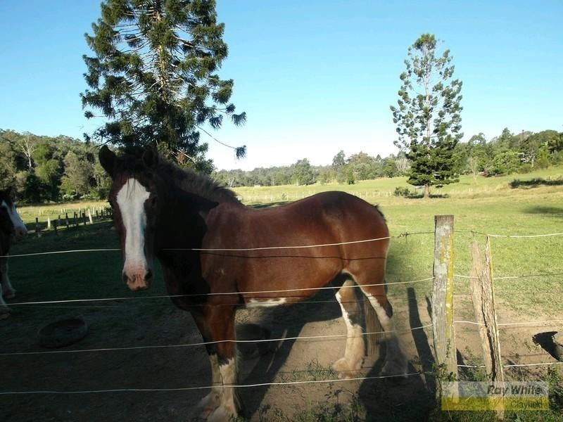 Kobble Creek QLD 4520