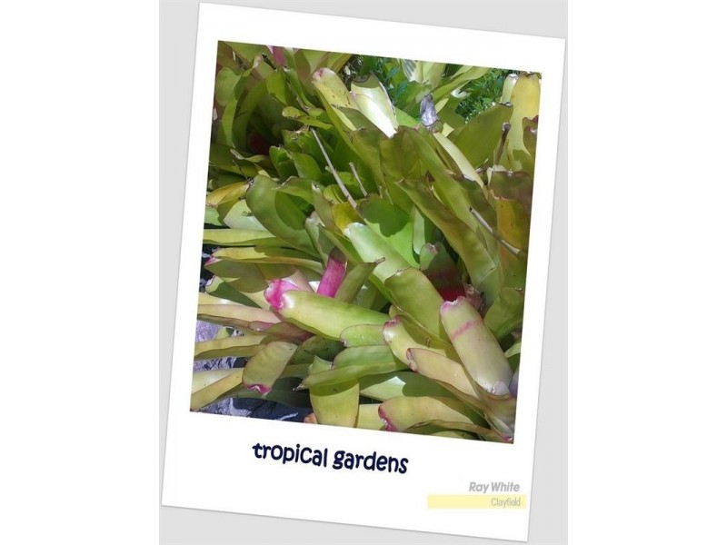 7/773 Sandgate Road, Clayfield QLD 4011