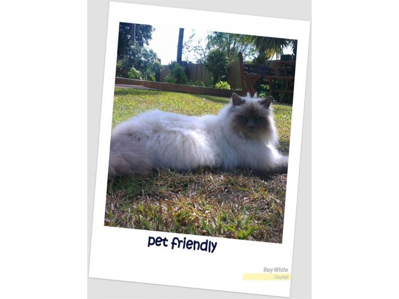 7/773 Sandgate Road, Clayfield QLD 4011