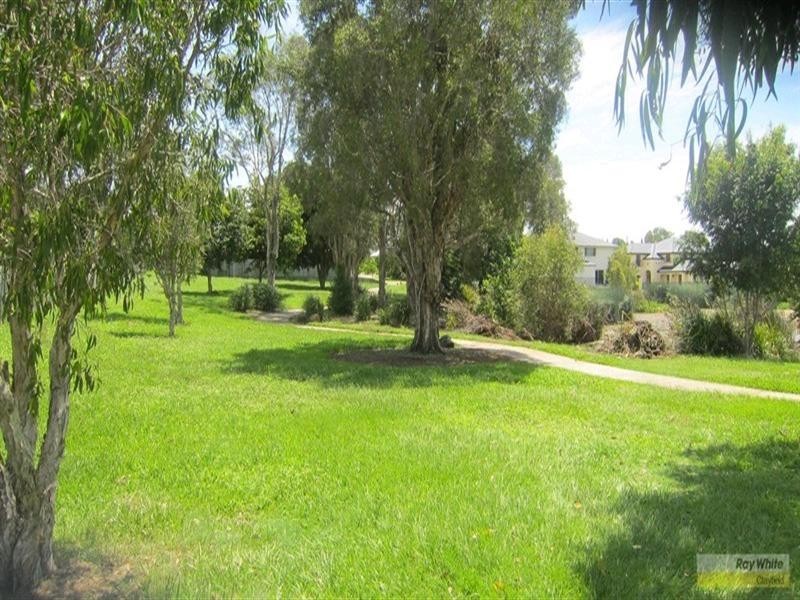 16 Danesse Street, Nudgee QLD 4014