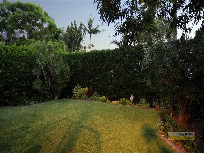 125 Crosby Road, Hamilton QLD 4007