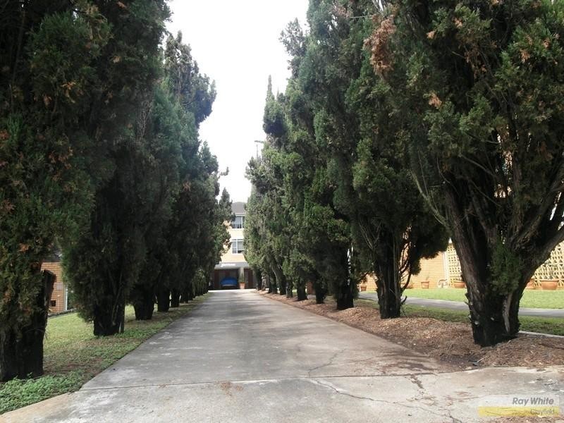 4/107 Windermere Road, Hamilton QLD 4007