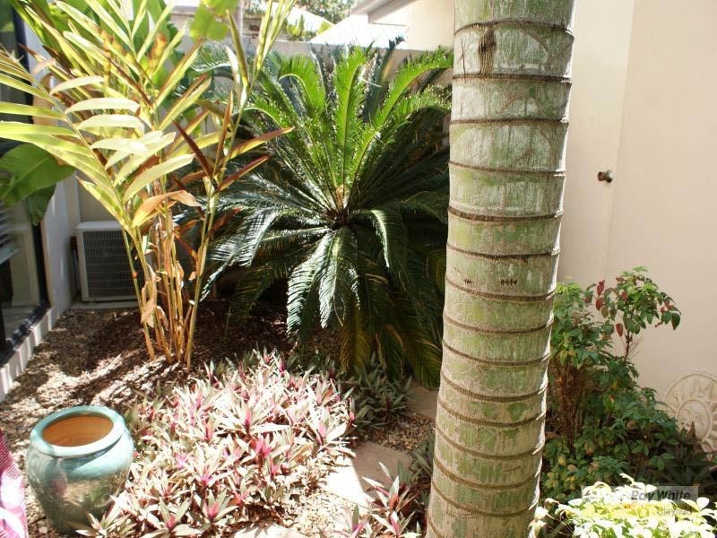 1/45 Allen Street, Hamilton QLD 4007