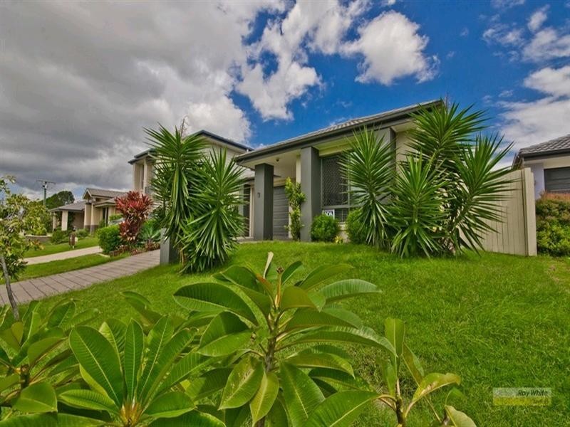 51 St Conel Street, Nudgee QLD 4014