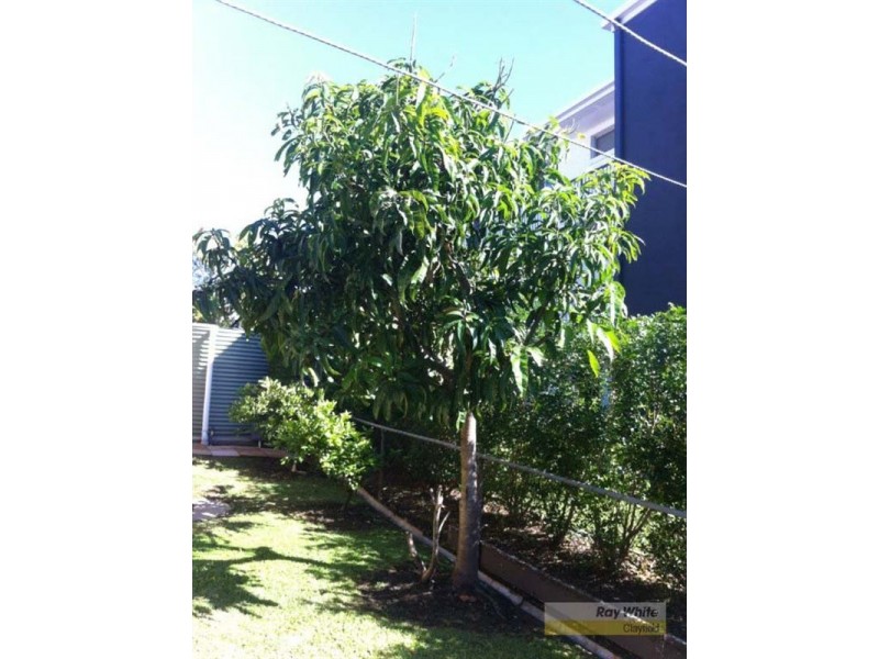 1/9 Stuckey Road, Clayfield QLD 4011