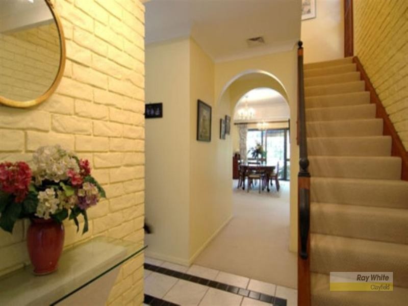 39 Sparkes Avenue, Hamilton QLD 4007