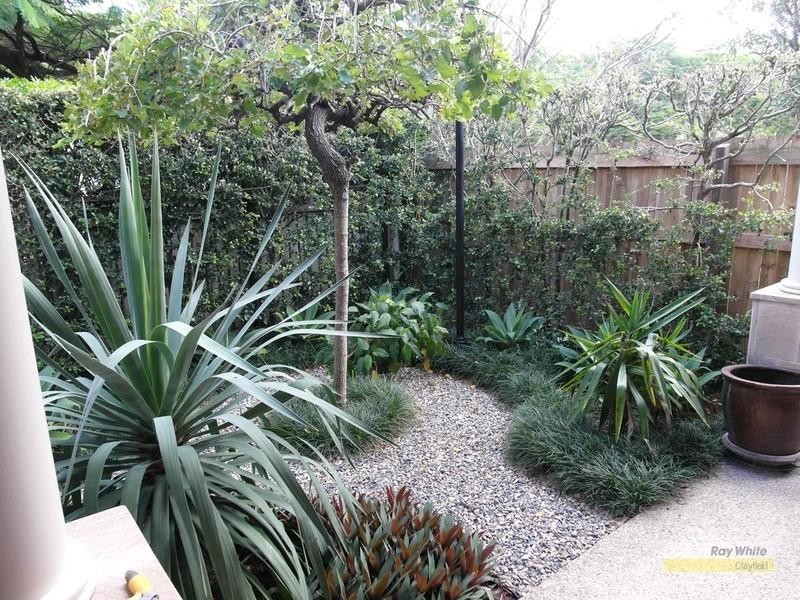 39 Sparkes Avenue, Hamilton QLD 4007