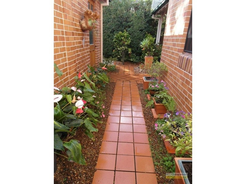 26 Henry Street, Wooloowin QLD 4030