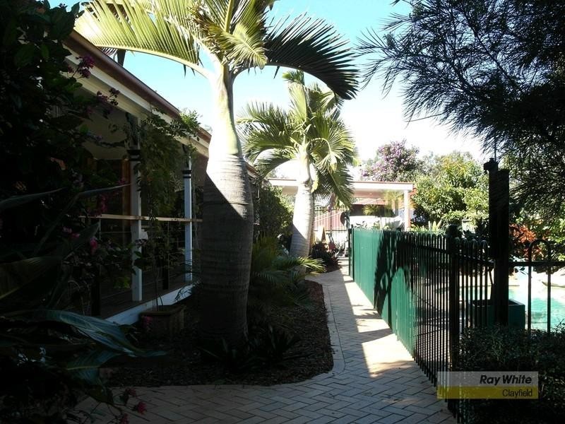 12 Ironwood Court, Arana Hills QLD 4054