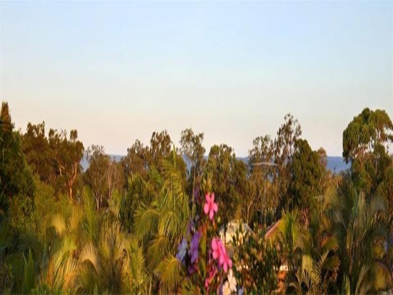 29 Jason Street, Cleveland QLD 4163